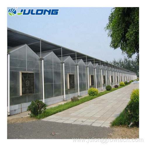 Multi Span Polycarbonate Greenhouses for Vegeatable Planting